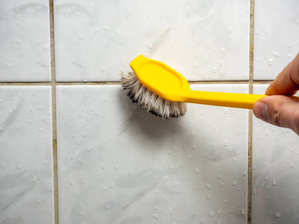 Mold Testing and Removal in Hillsboro, ND